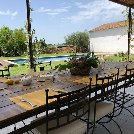 Casa Agricola Scorziello Βίλα Serre  Εξωτερικό φωτογραφία