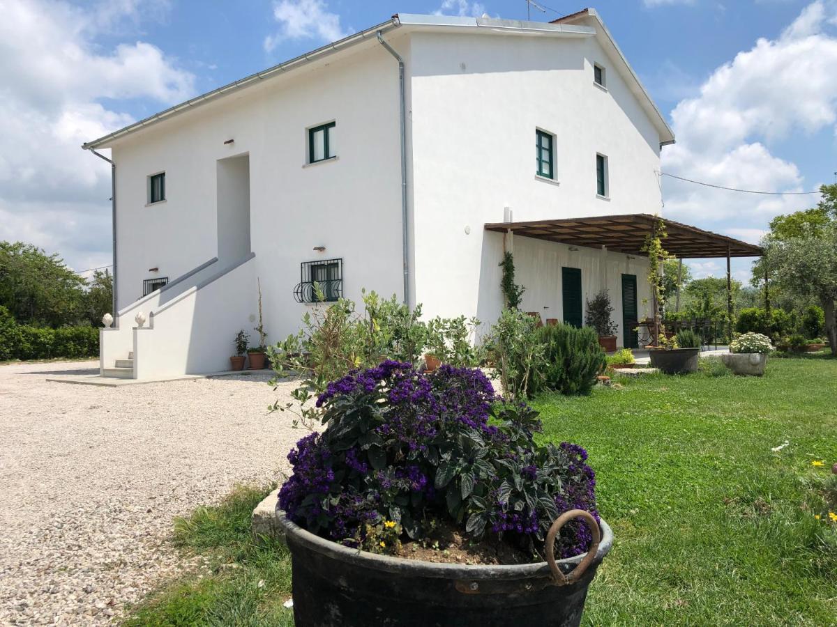 Casa Agricola Scorziello Βίλα Serre  Εξωτερικό φωτογραφία