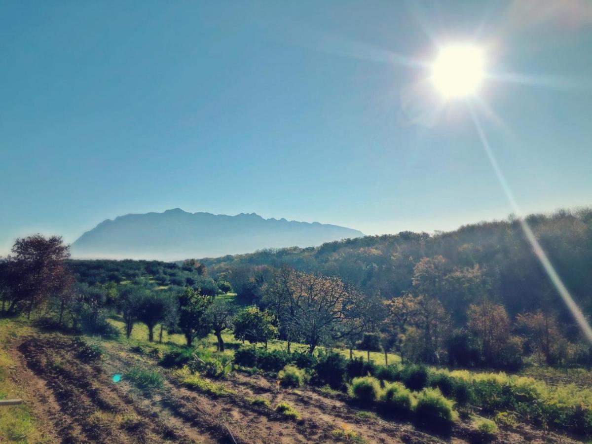 Casa Agricola Scorziello Βίλα Serre  Εξωτερικό φωτογραφία