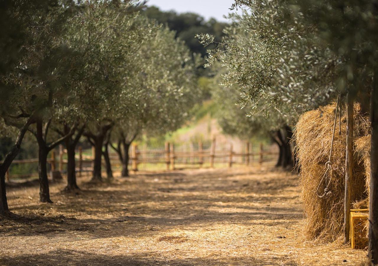 Casa Agricola Scorziello Βίλα Serre  Εξωτερικό φωτογραφία