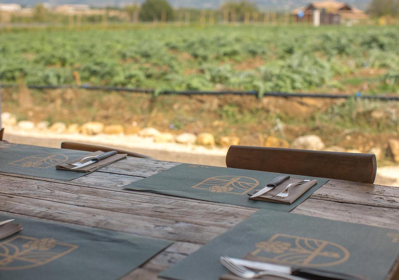 Casa Agricola Scorziello Βίλα Serre  Εξωτερικό φωτογραφία