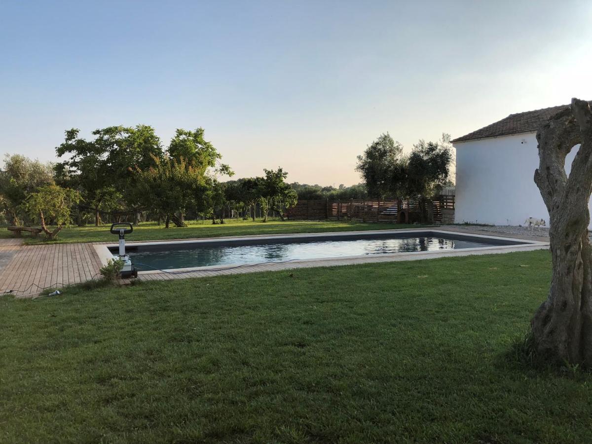Casa Agricola Scorziello Βίλα Serre  Εξωτερικό φωτογραφία